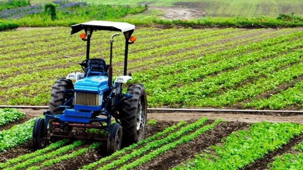 Foto - Bitti diyenler utansın: Avrupa'da lider dünyada ilk 10'dayız
