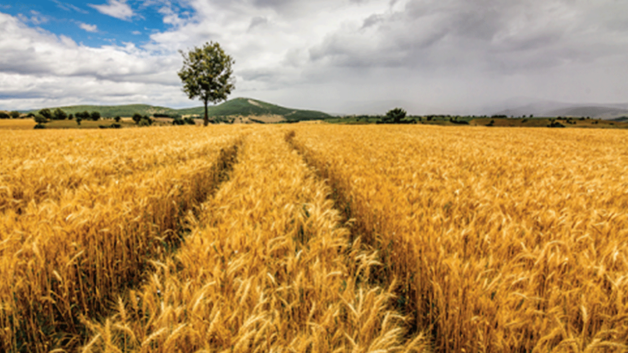 Foto - Bitti diyenler utansın: Avrupa'da lider dünyada ilk 10'dayız