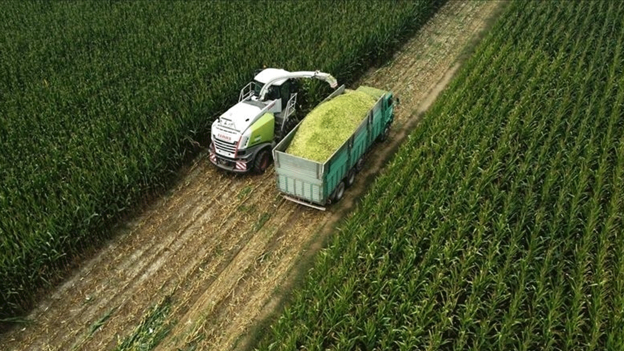 Foto - Bitti diyenler utansın: Avrupa'da lider dünyada ilk 10'dayız