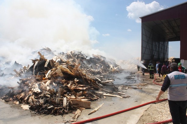 Biyokütle Enerji Santrali'nde yangın