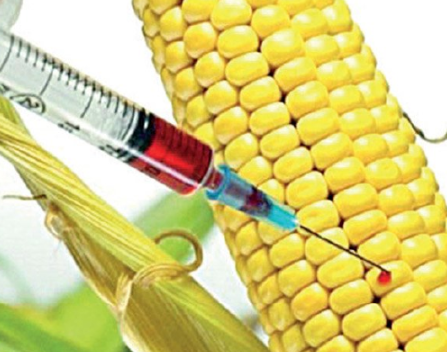 Foto - Biz patetes ve soğan ile uğraşırken Erdoğan Deccal ile savaşıyor: "Bu Türkiye açısından varoluşsal bir felakettir, tehdittir."