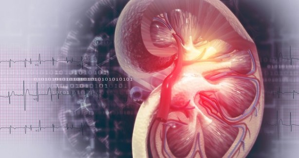 Foto - Böbrek kistlerini işaret eden belirtiler