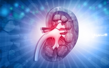 Foto - Böbrek kistlerini işaret eden belirtiler