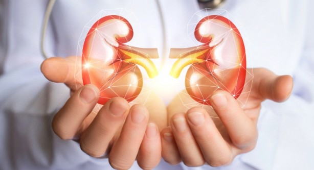 Foto - Böbrek sağlığına iyi gelen içecek ve besinler