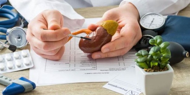 Foto - Böbrek sağlığını koruyan 12 gıda