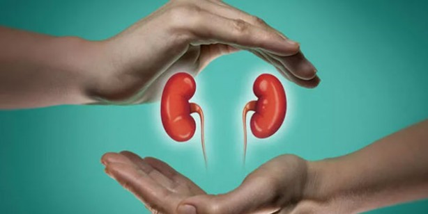 Foto - Böbrek sağlığını koruyan 12 gıda