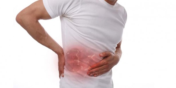 Foto - Böbrek sağlığını koruyan 12 gıda