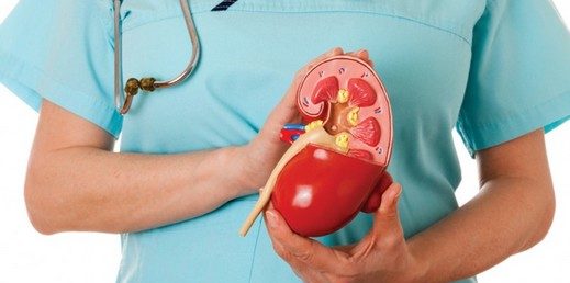 Foto - Böbrek sağlığını koruyan 12 gıda