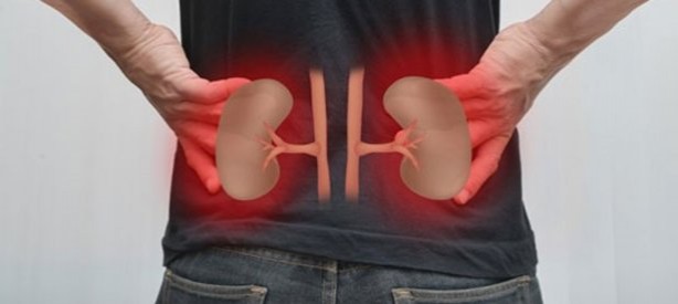 Böbrek sağlığını koruyan 12 gıda