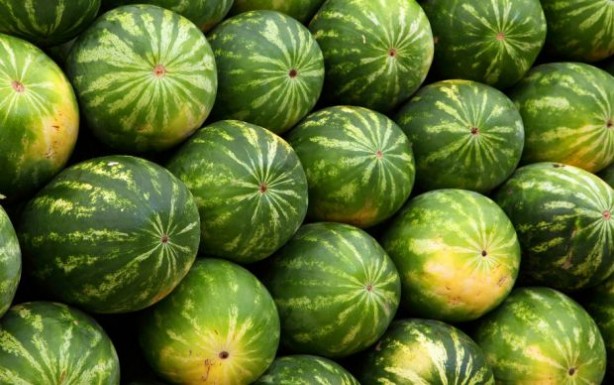 Foto - Böbrek sağlığını koruyan 12 gıda