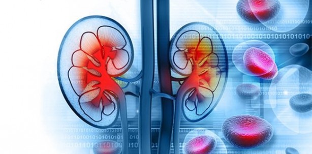 Foto - Böbrek sancısı çekmek istemiyorsanız...