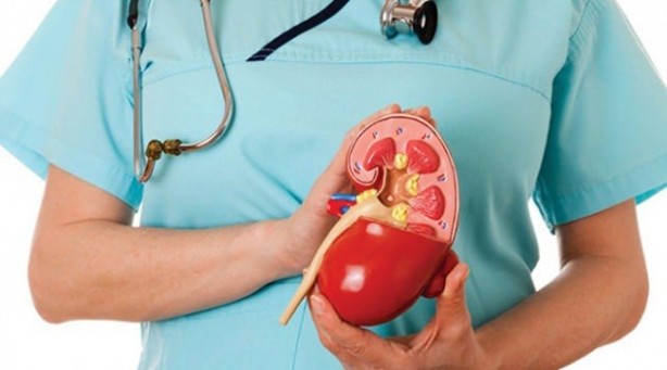 Foto - Böbrek sancısı çekmek istemiyorsanız...