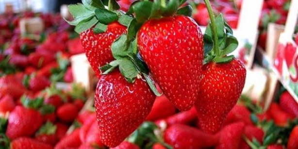 Foto - Böbrek sancısı çekmek istemiyorsanız...