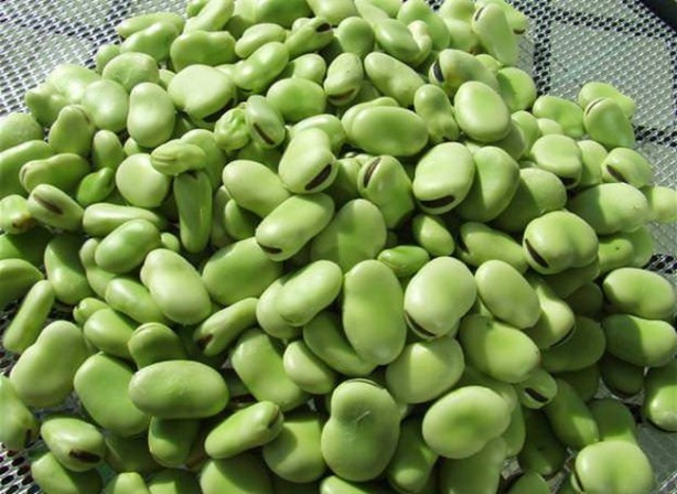 Foto - Böbrek sancısı çekmek istemiyorsanız...