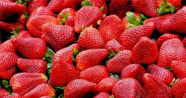 Foto - Böbrek sancısı çekmek istemiyorsanız...