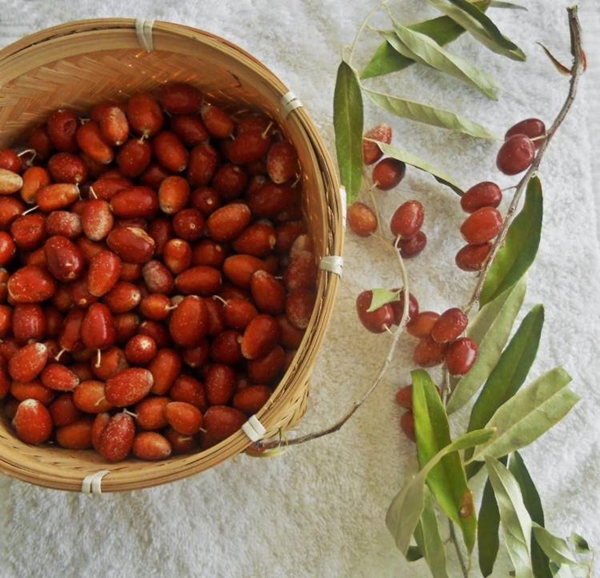Foto - Böbrek şikayetleri olanlar, dikkat!