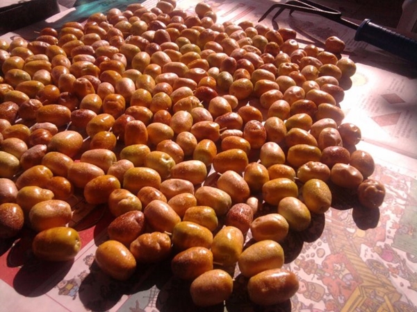 Foto - Böbrek şikayetleri olanlar, dikkat!