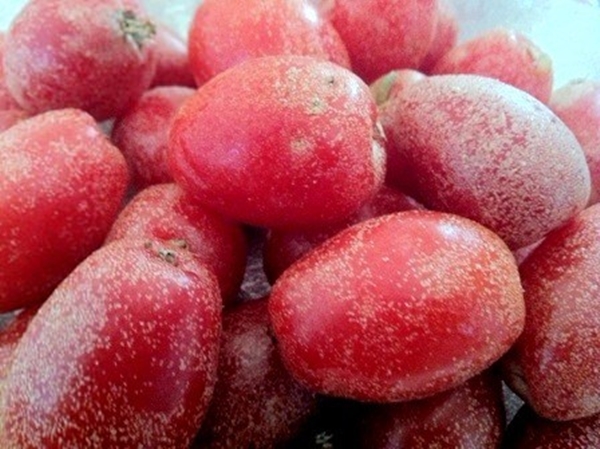 Foto - Böbrek şikayetleri olanlar, dikkat!