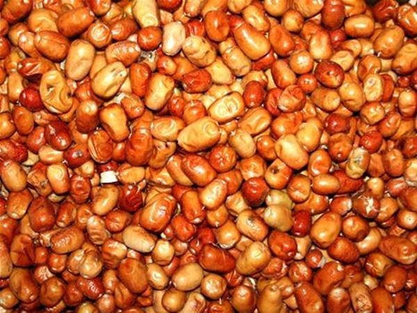 Foto - Böbrek şikayetleri olanlar, dikkat!