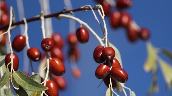Böbrek şikayetleri olanlar, dikkat!