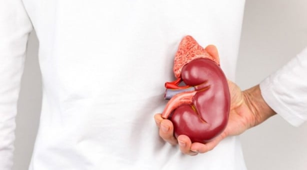 Foto - Böbrek taşı tedavisinde bu yanlışlara düşmeyin!