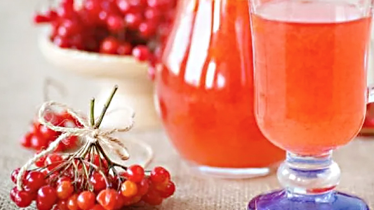 Foto - Gilaburu suyu: Böbrek taşlarını çatır çatır kırıyor!