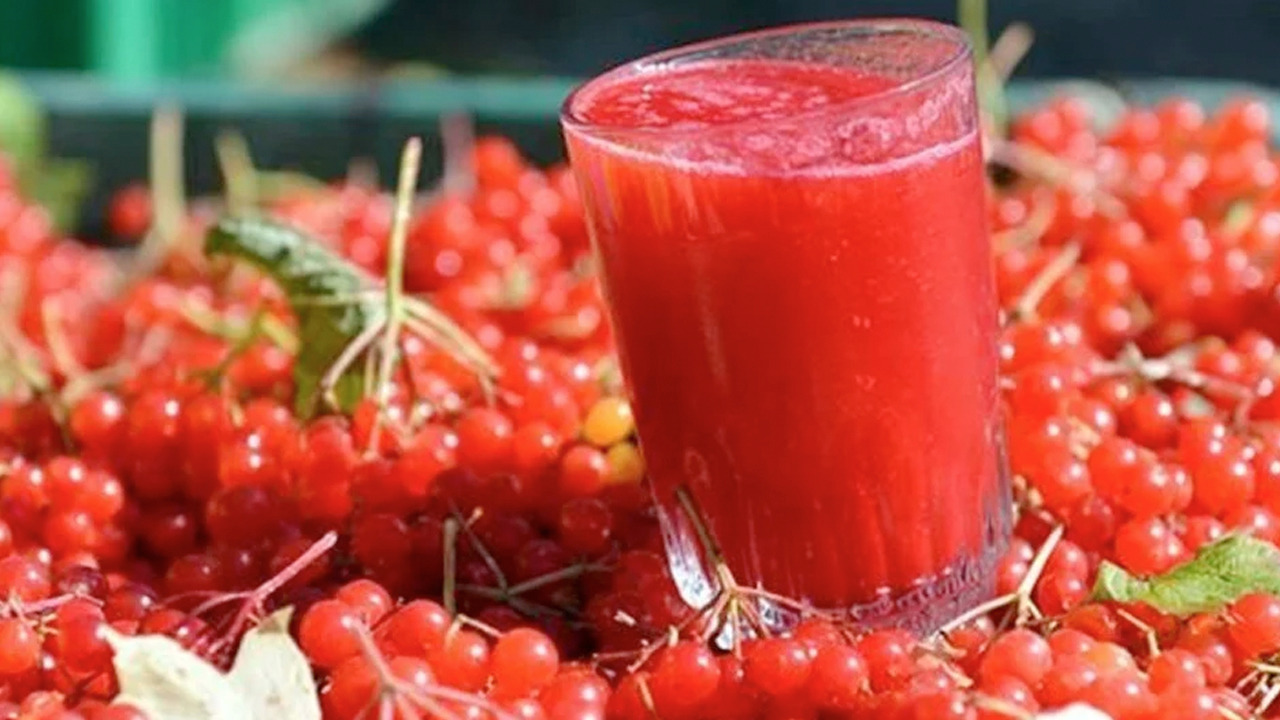 Gilaburu suyu: Böbrek taşlarını çatır çatır kırıyor!