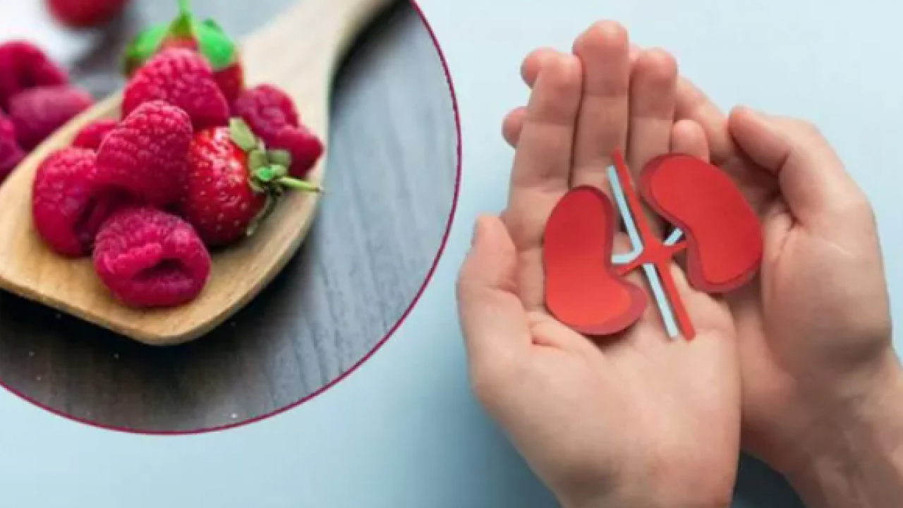 Günde bir avuç tüketin yeter: Böbrekleri koruma altına alıyor!