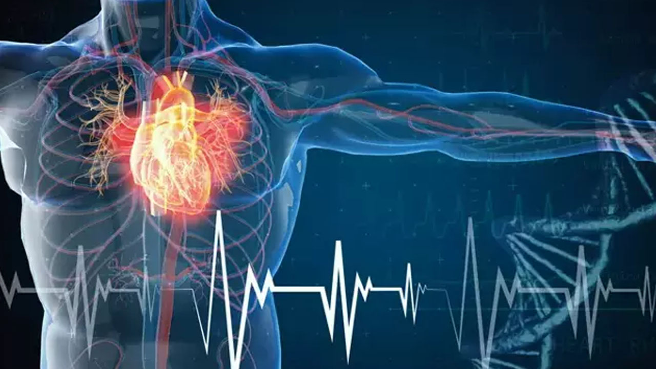 Foto - Damarları günden güne çürütüyor! Organları zehirliyor: Böbrekleri yaralıyor 