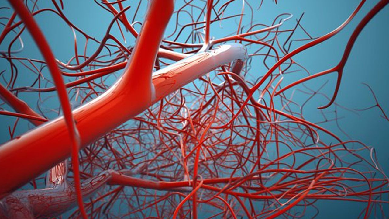 Foto - Damarları günden güne çürütüyor! Organları zehirliyor: Böbrekleri yaralıyor 