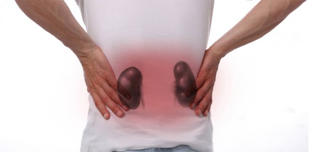 Foto - Böbrekleri koruyan 14 besin