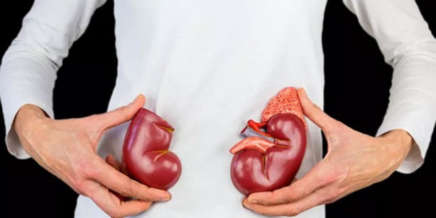 Böbrekleri koruyan 14 besin