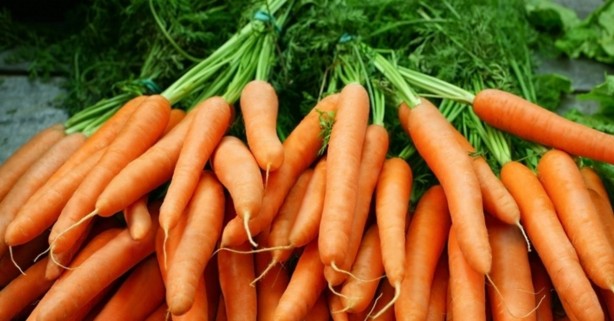 Foto - Böbrekleri koruyan 14 besin