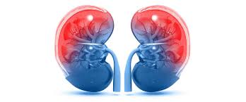 Foto - Böbreklerinize zarar veren 7 yaygın alışkanlık! Karışımı yapanlar tesiri hemen hisseti... İbrahim Saraçoğlu paylaştı