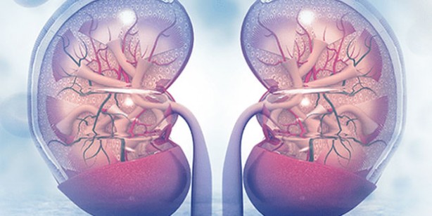 Foto - Böbreklerinizi kaybetmek istemiyorsanız bu belirtilere dikkat edin