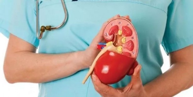 Foto - Böbreklerinizi kaybetmek istemiyorsanız bu belirtilere dikkat edin