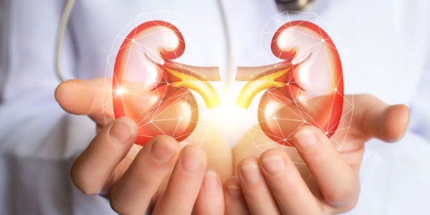Foto - Böbreklerinizi kaybetmek istemiyorsanız bu belirtilere dikkat edin