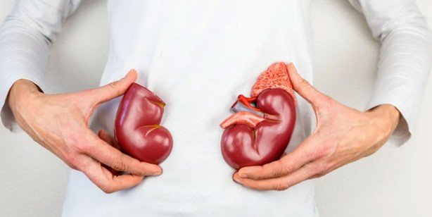 Foto - Böbreklerinizi kaybetmek istemiyorsanız bu belirtilere dikkat edin