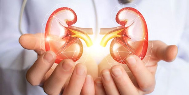 Foto - Böbreklerinizi kaybetmek istemiyorsanız bu belirtilere dikkat edin