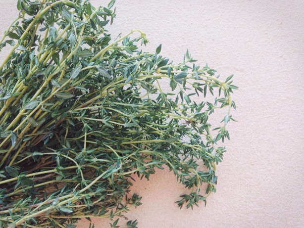 Foto - Böcek ve sivrisinekleri uzak tutan 7 bitki