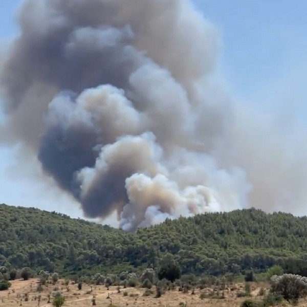 Bodrum ve Milas'tan acı görüntü