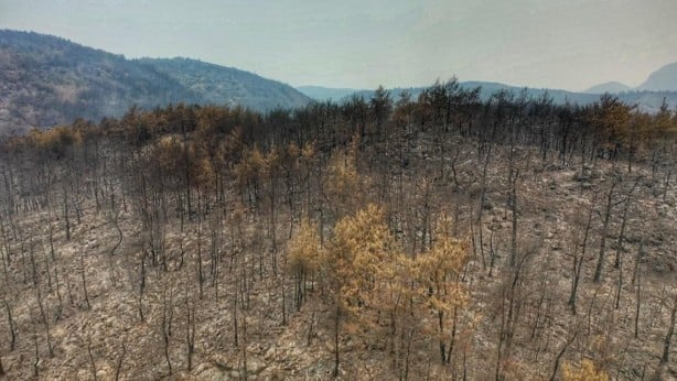 Foto - Bodrum ve Milas'tan acı görüntü
