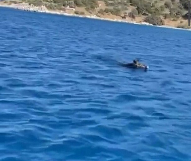 Foto - Bodrum'da görüldü! Önce balık sandılar gerçek ortaya çıkınca kimse inanamadı