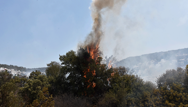 Foto - Bodrum'da korkutan yangın