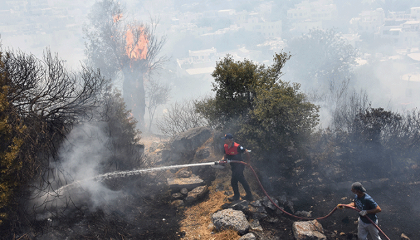 Foto - Bodrum'da korkutan yangın