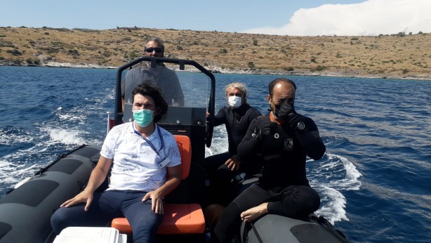 Foto - Bodrum'da müsilaj paniği! 