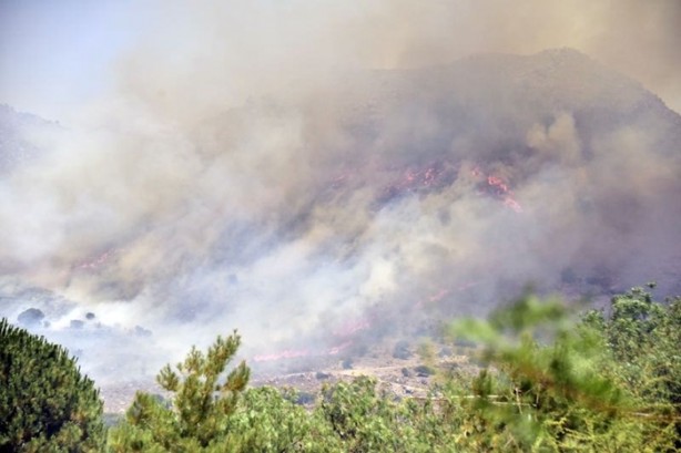 Foto - Bodrum'da yangın