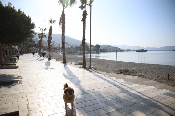 Foto - Bodrum'da yoğunluk yaşanan sahil ve caddelerde Kovid-19 denetimleri artırıldı