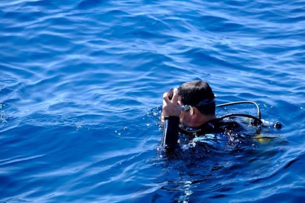 Foto - Bodrum'un deniz zenginlikleri belgesel oluyor