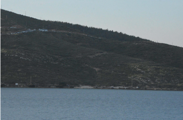 Bodrum'un yanan orman alanları, 21 ay sonra yeşerdi